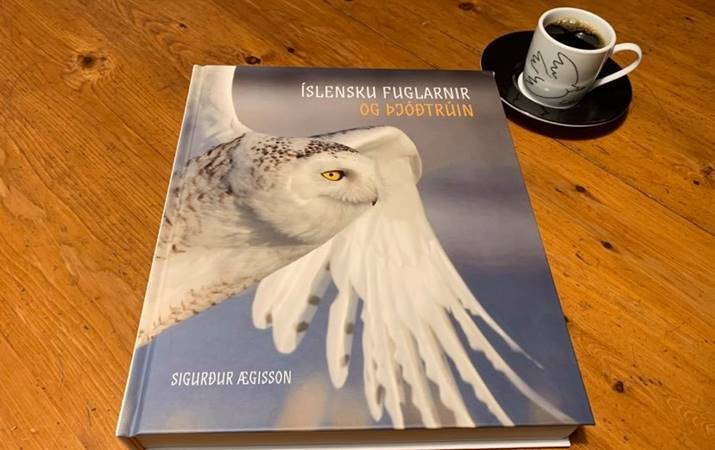 Falleg bók og skemmtileg -eftir sr. Sigurð Ægisson
