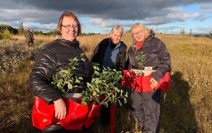 Sr. Agnes biskup, Vigdís og Sigríður, planta trjám í Skálholti