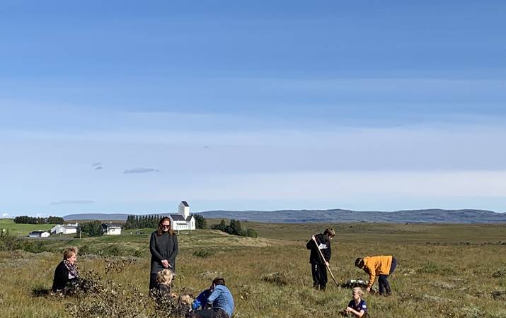 Gróðursett í Skálholti - mynd: hsh